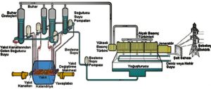   basınçlı su reaktörü(PHWR)